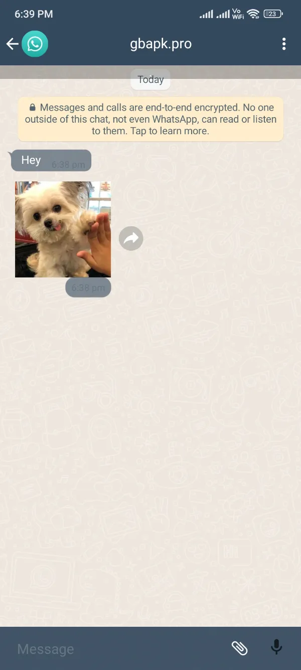GBStickers Maker App Send Stickers
