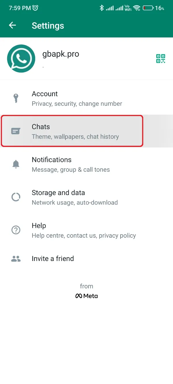 GBWhatsApp Pro Chats