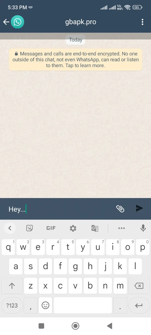 GBWhatsApp Pro Message Sent