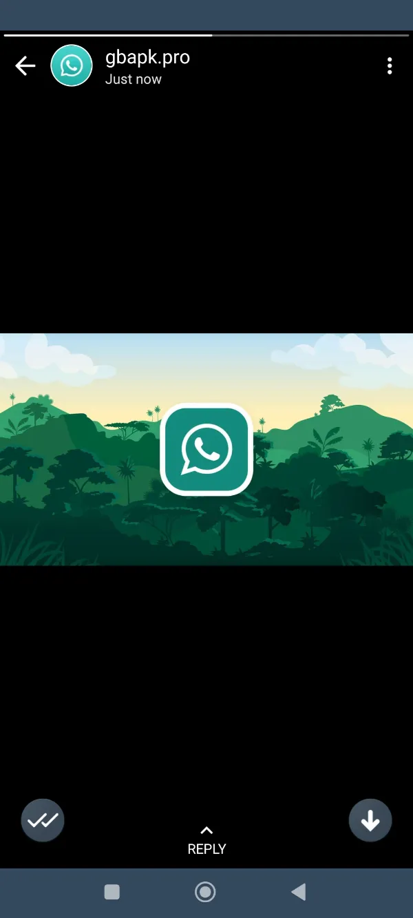 GBWhatsApp Pro Status Share