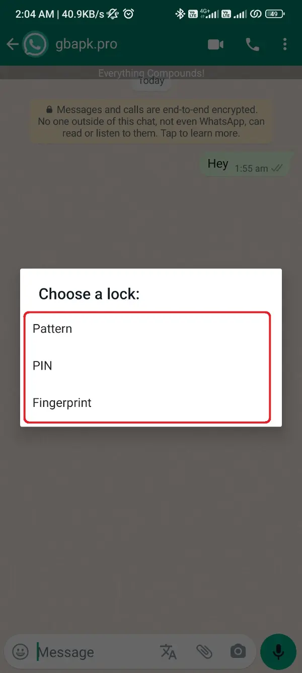 Choose Lock WhatsApp Plus