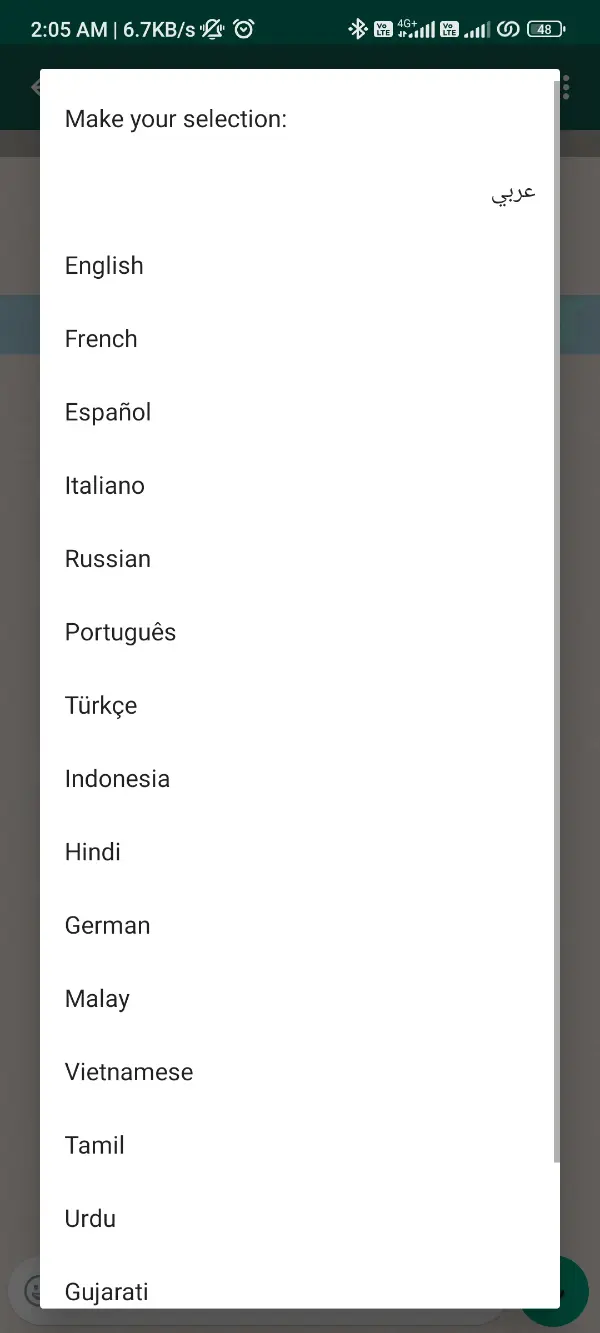 Language Translation WhatsApp Plus