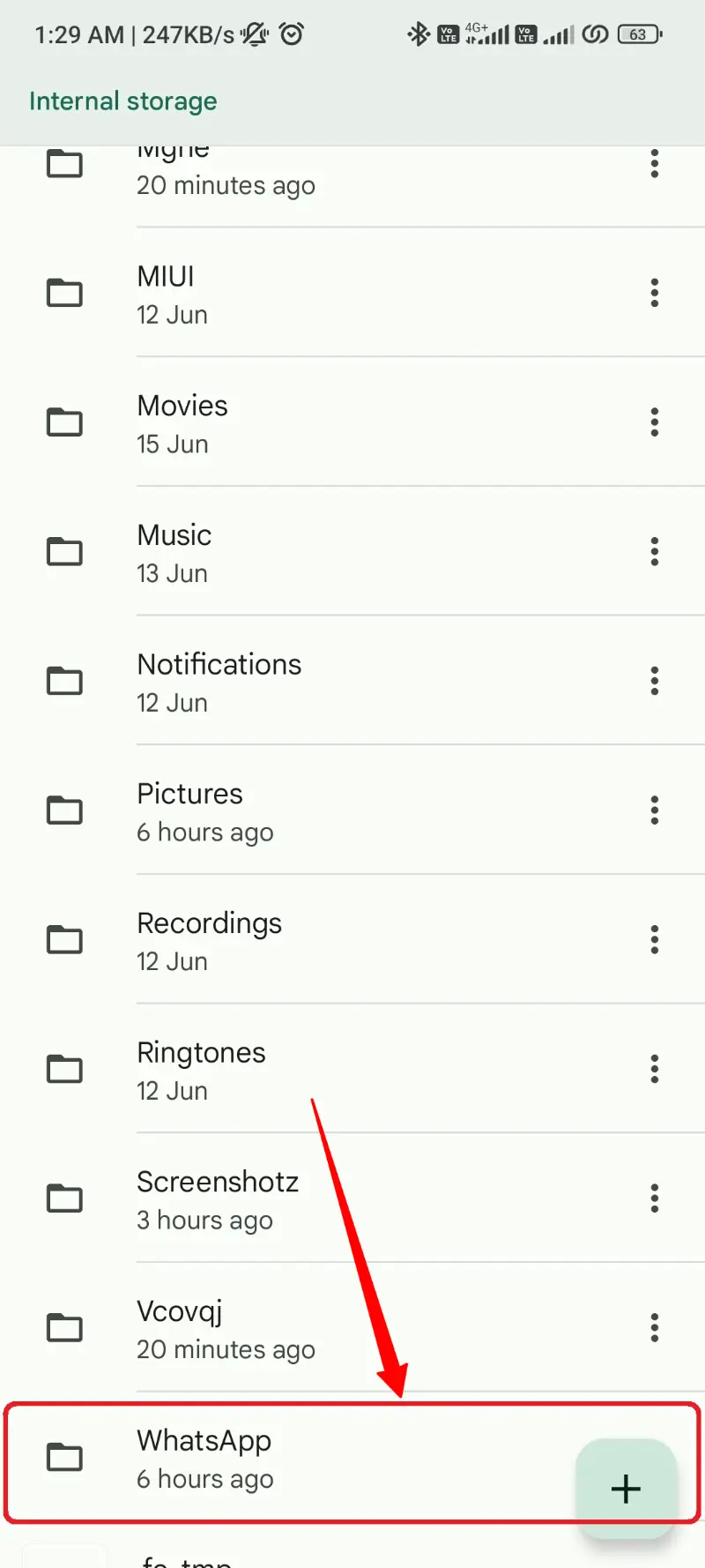 Google Files WhatsApp Folder